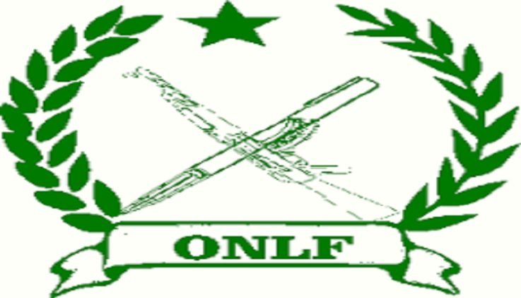 ONLF to take part in presidential elections next year