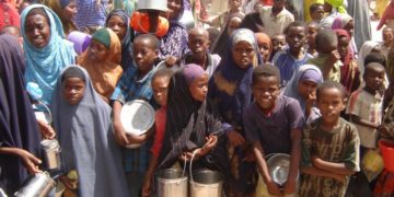 EU pledges $28m funding to tackle drought in Somalia