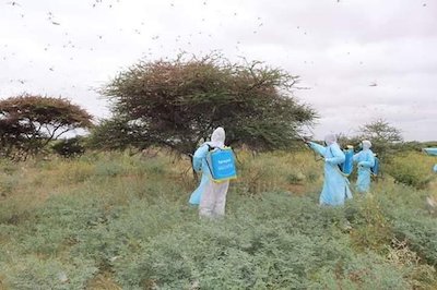 Broken societies put people and planet on collision course – UNDP