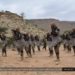 Suspected ISIS fighters kill DC in Puntland state