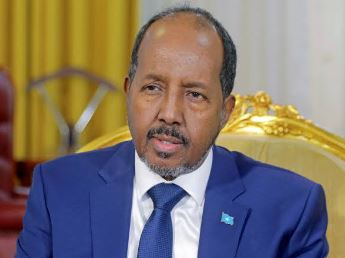 Somalia to seek stronger strategic cooperation with China in economic development, security: president