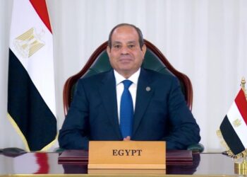 Egypt follows Ethiopia-Somalia agreement, hopes for stability: President al-Sisi