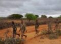 Two suspects linked to killing of government soldiers arrested in Middle Shabelle