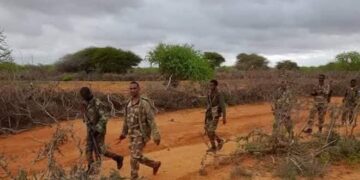Two suspects linked to killing of government soldiers arrested in Middle Shabelle
